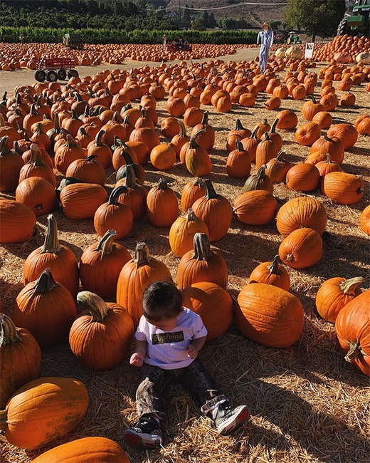 Kylie Jenner, Baby, Stormi Webster, Pumpkin Patch, Underwood Family Farms